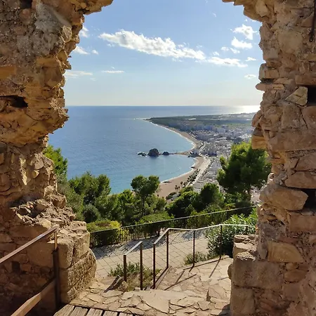 Bambu Costa Brava يوريت دي مار