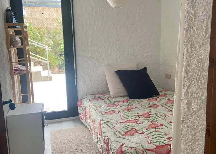 Bambú Costa Brava Lloret de Mar