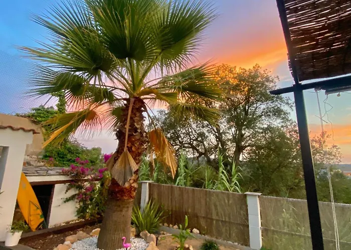 Bambú Costa Brava *